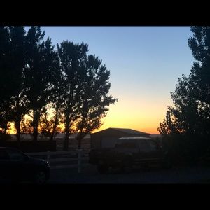 Meet your Posher, Mardi